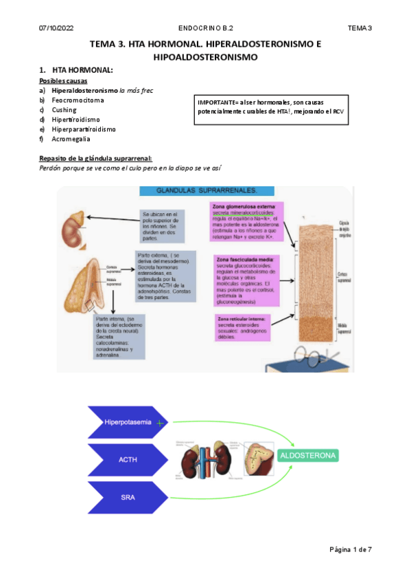 Miniatura del documento T3-bloque-II-endocrino-HTA-hormonal.pdf