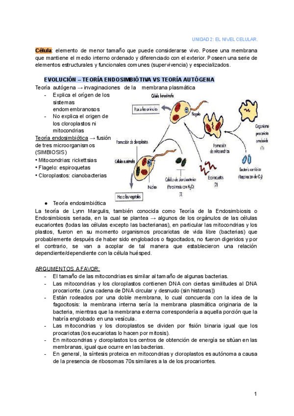 Miniatura del documento ud2-el-nivel-celular-parte-1de-5.pdf