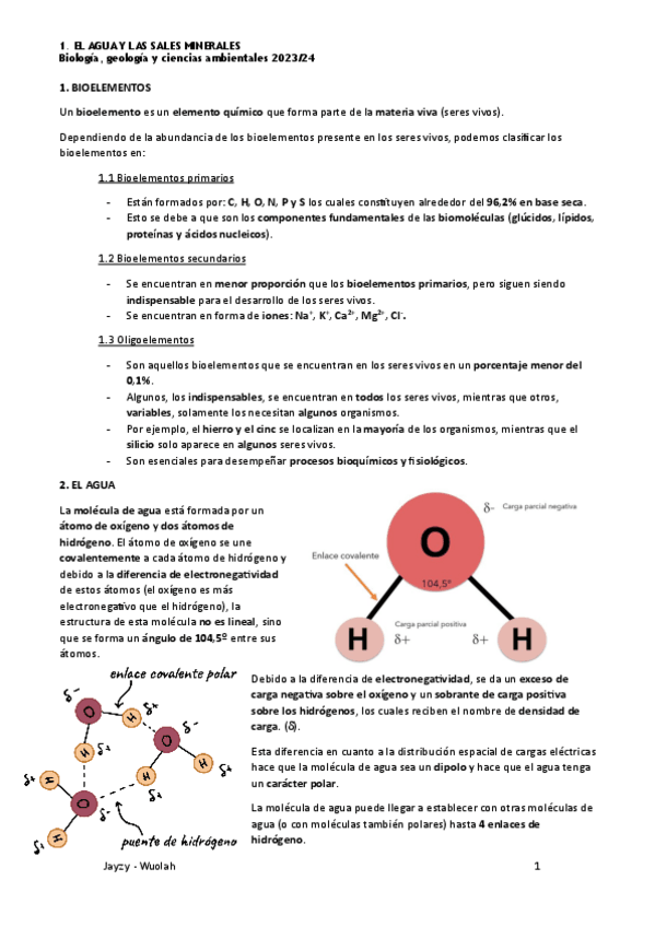 Miniatura del documento 1-El-Agua-y-las-Sales-Minerales-Apuntes.pdf