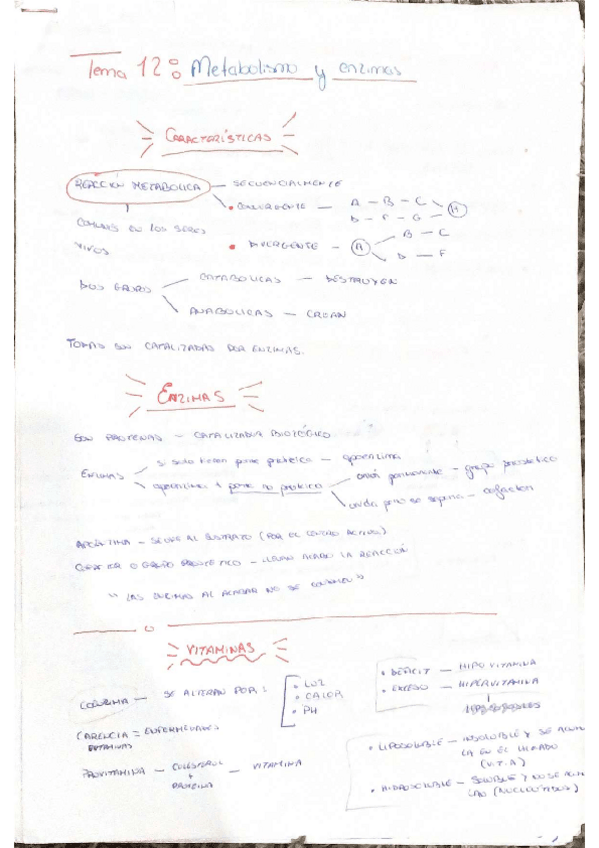 Miniatura del documento METABOLISMO-Y-FERMENTACION.pdf