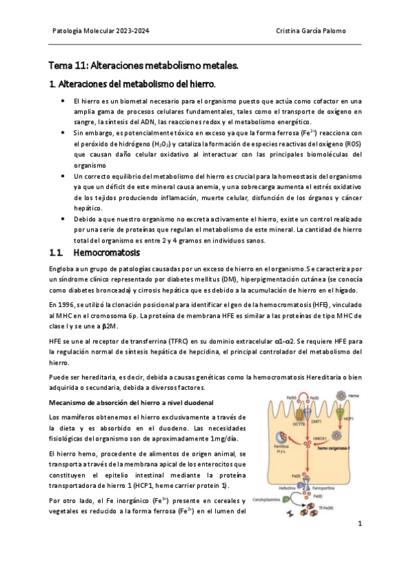 Miniatura del documento Tema 11 patología.pdf