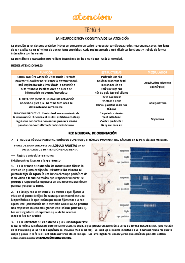 Miniatura del documento TEMA-4.pdf