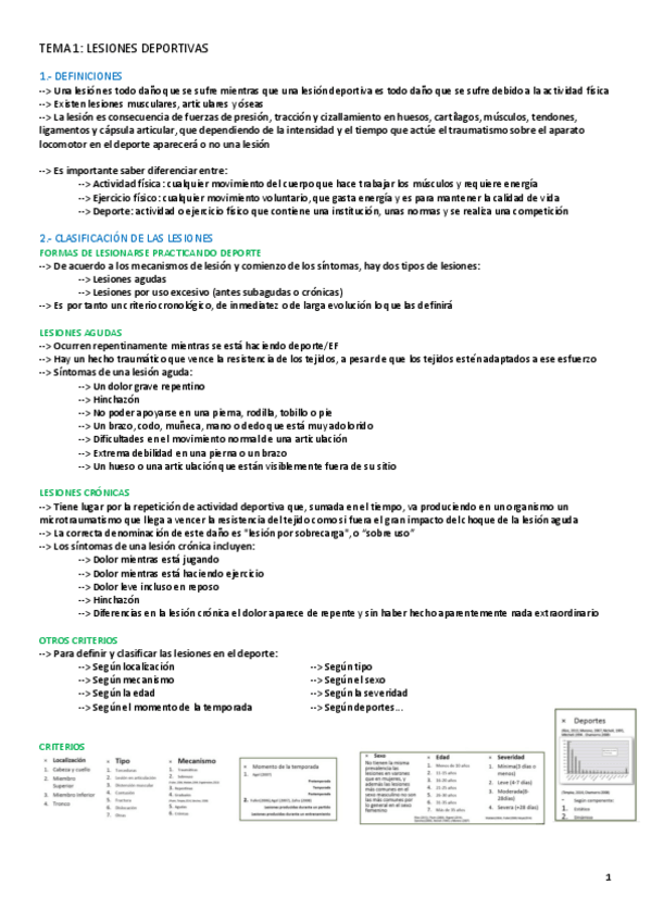 Miniatura del documento TEMA-1-LESIONES.pdf