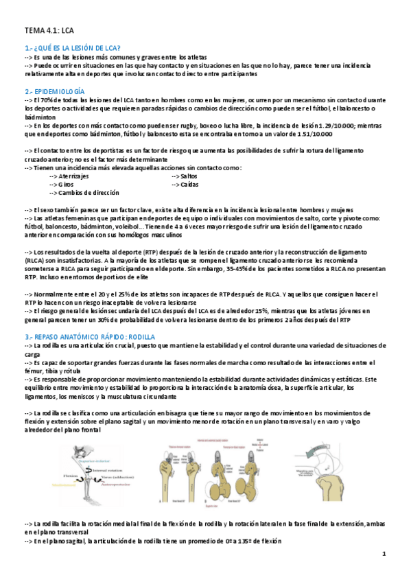 Miniatura del documento TEMA-4.1-LESIONES.pdf