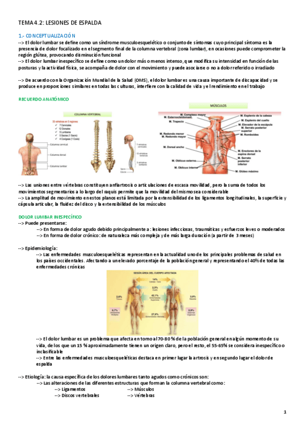 Miniatura del documento TEMA-4.2-LESIONES.pdf