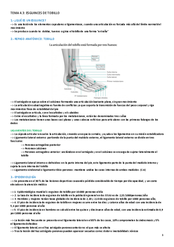 Miniatura del documento TEMA-4.3-LESIONES.pdf