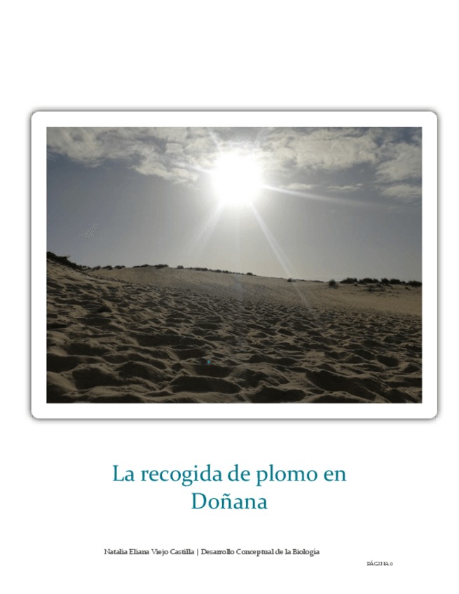Miniatura del documento Seminario Recogida de Plomo Doñana (No esta en la lista).pdf