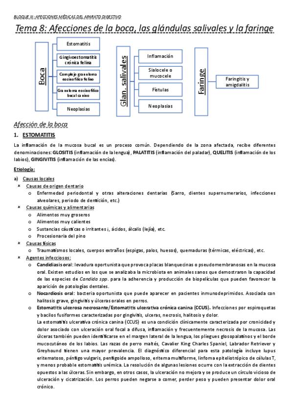 Miniatura del documento 8-16-Ap-digestivo.pdf