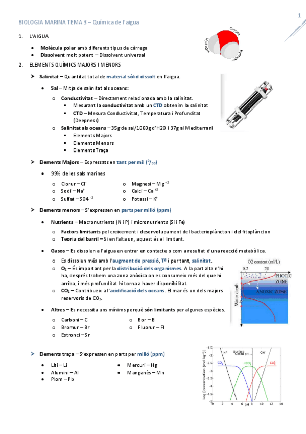 Miniatura del documento T3_Quimica_aigua.pdf