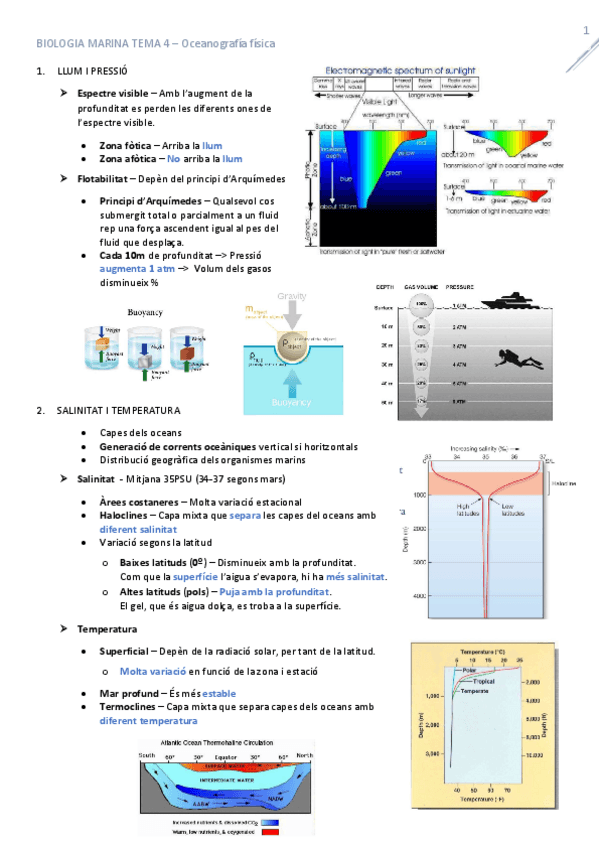 Miniatura del documento T4_Oceanografia_fisica.pdf