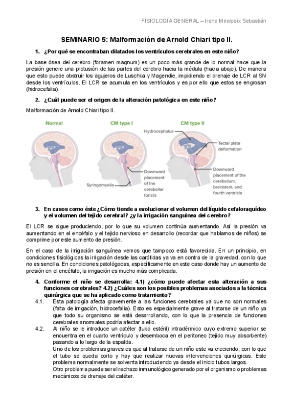 Miniatura del documento SEMINARIO-5-LIMPIO.pdf