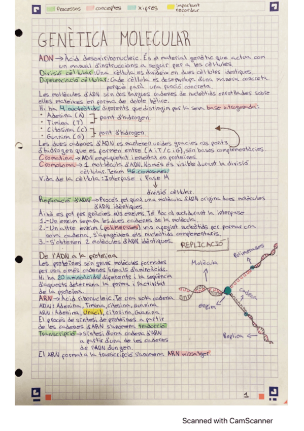 Miniatura del documento genetica-molecular-basica.pdf