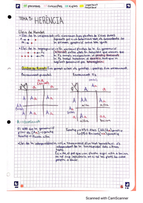 Miniatura del documento Herencia.pdf