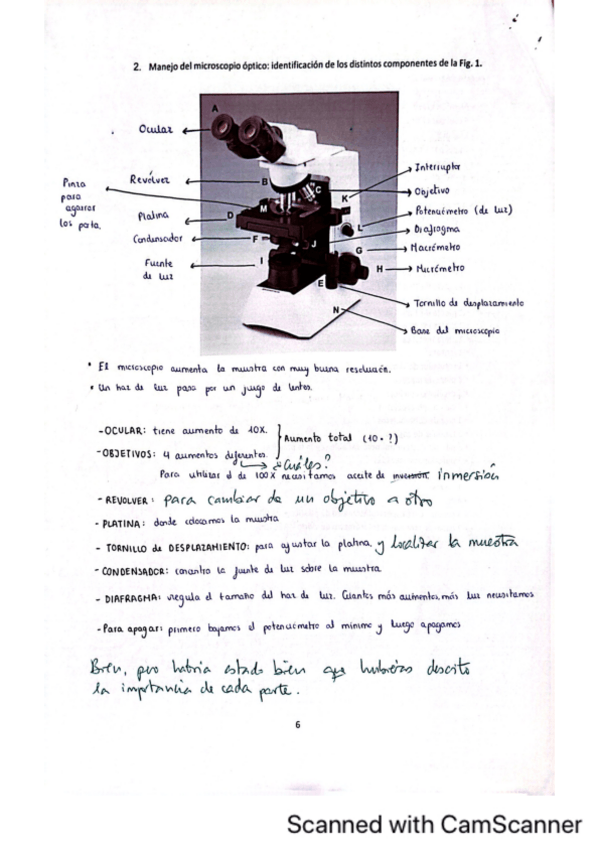 Miniatura del documento Guia-de-practicas-de-biologia.pdf