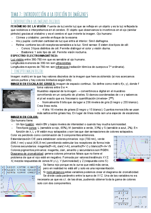 Miniatura del documento TEMA-7-INTRODUCCION-A-LA-EDICION-DE-IMAGENES-1.pdf