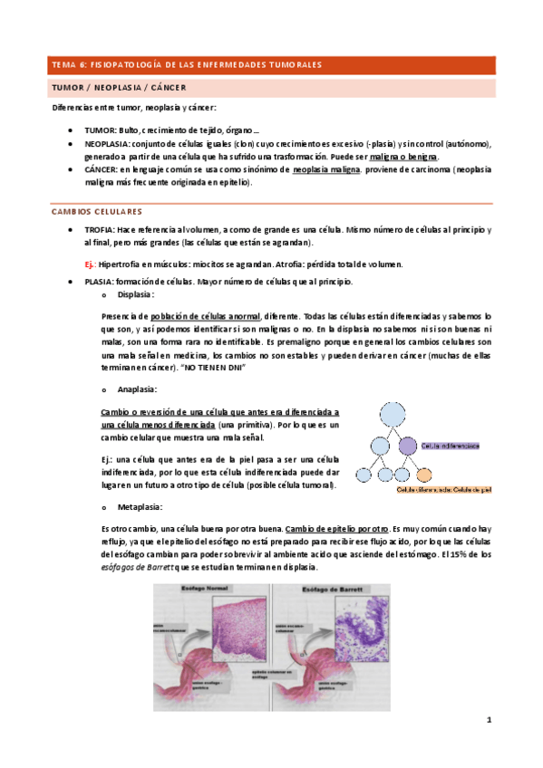 Miniatura del documento Tema-6.pdf