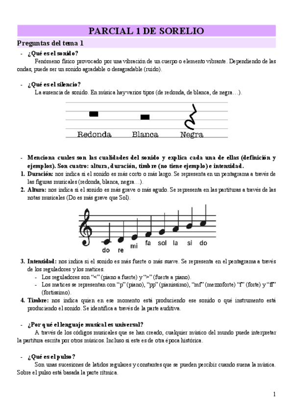 Miniatura del documento PARCIAL-1-DE-SORELIO.pdf