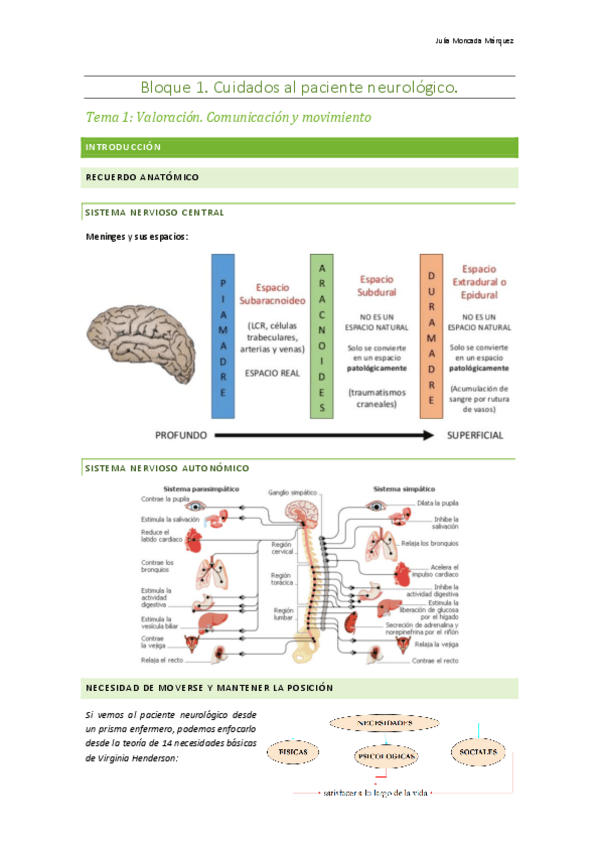 Miniatura del documento Bloque-1.-Paciente-neurologico.-Enfermeria-del-Adulto-I.pdf