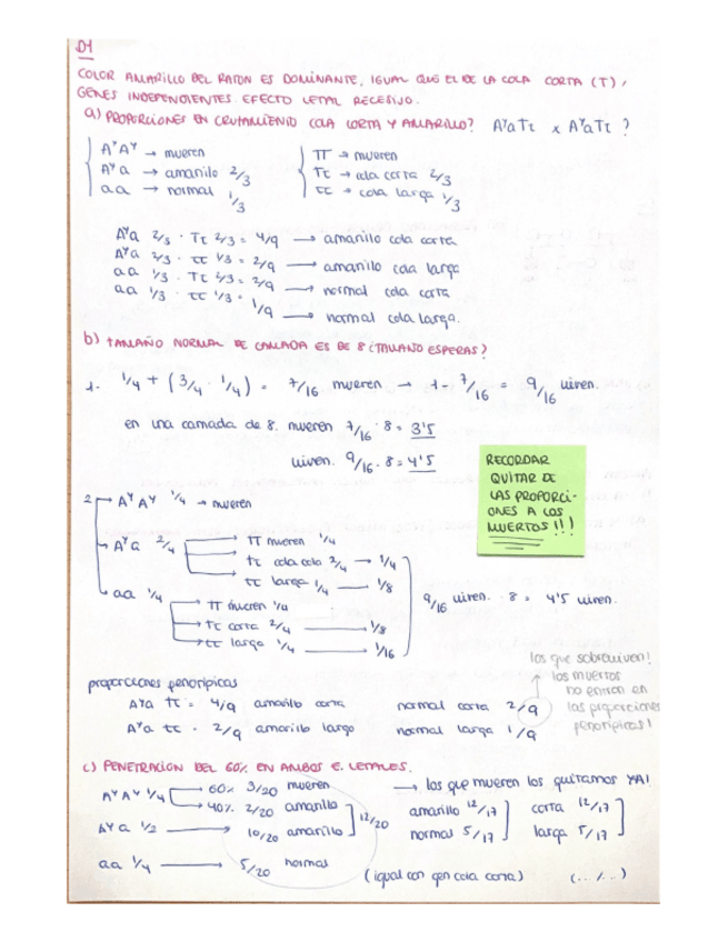 Miniatura del documento Problemas-D.pdf