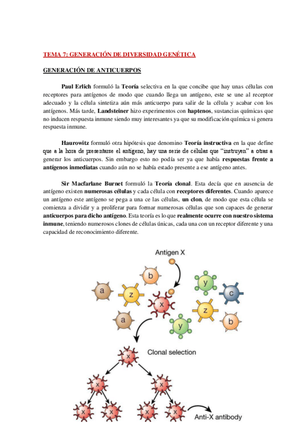 Miniatura del documento AP-INMUNO-TEMA-7-WH.pdf