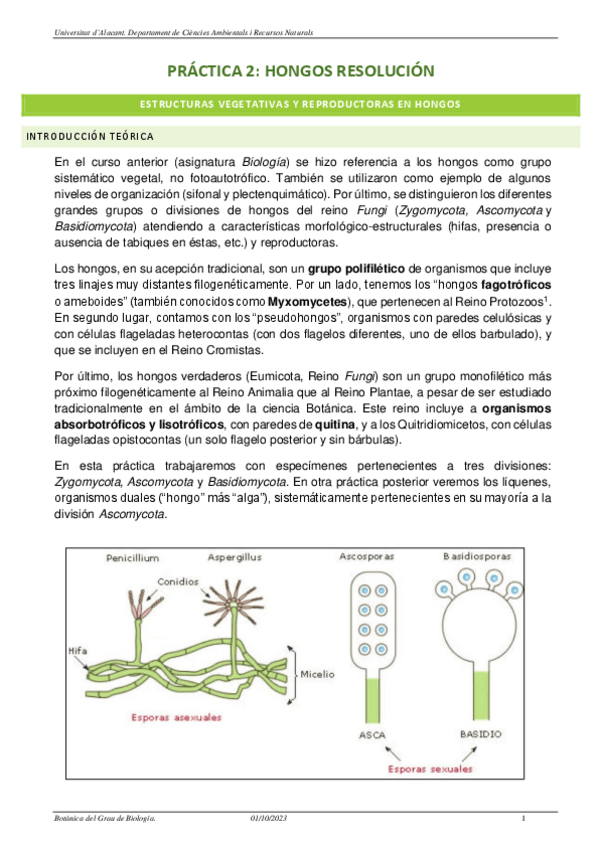 Miniatura del documento 2o-PR-2.-HONGOS.pdf