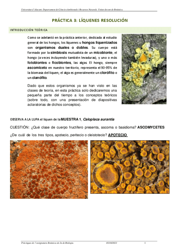 Miniatura del documento 2o-PR-3.-Liquenes.pdf