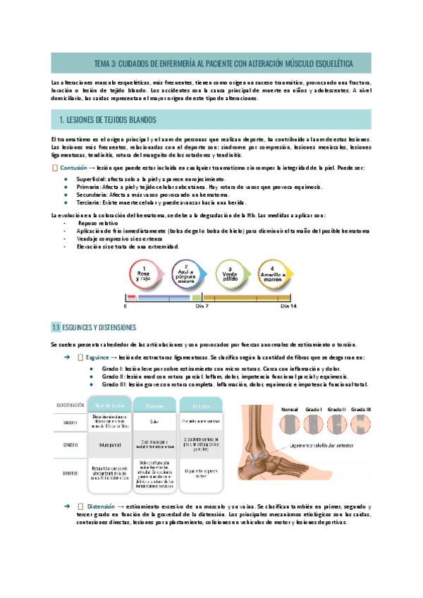 Miniatura del documento TEMA-3-ADULTO.pdf