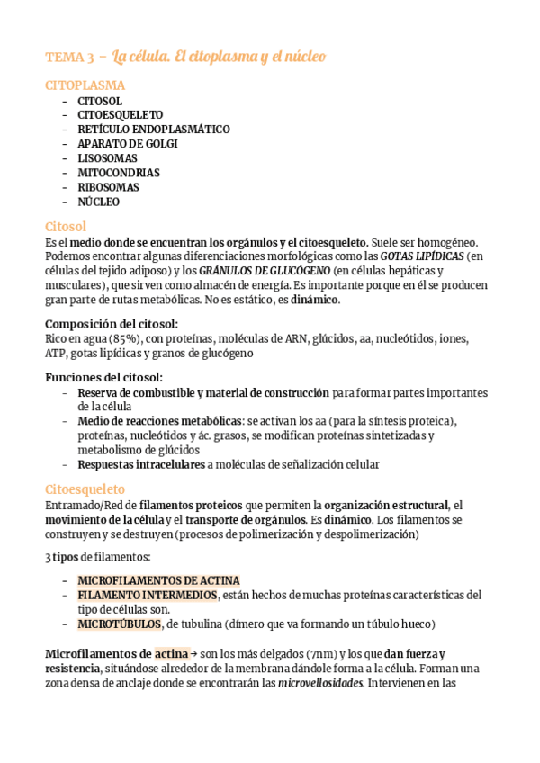 Miniatura del documento BASES-CEL-Tema-3.-La-celula.pdf