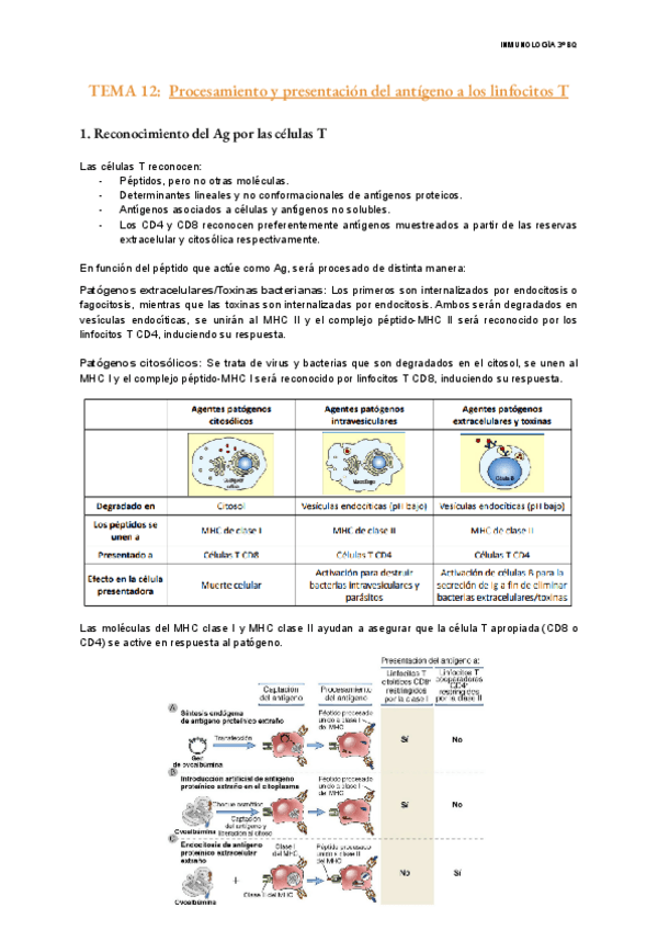 Miniatura del documento TEMA-12-Inmunologia.pdf