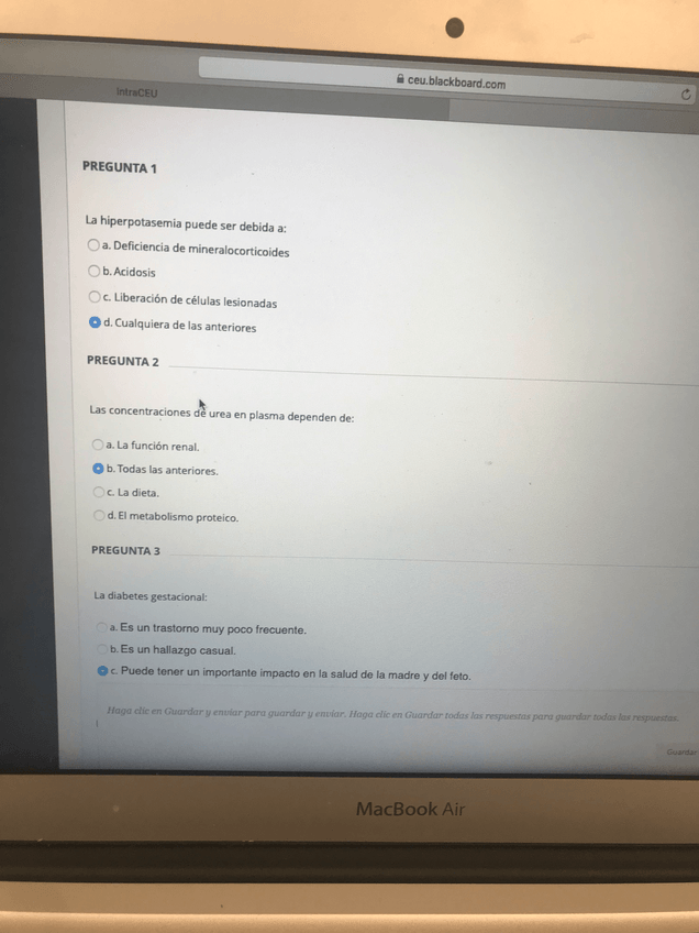 Miniatura del documento EX-TEST-ENRIC.pdf