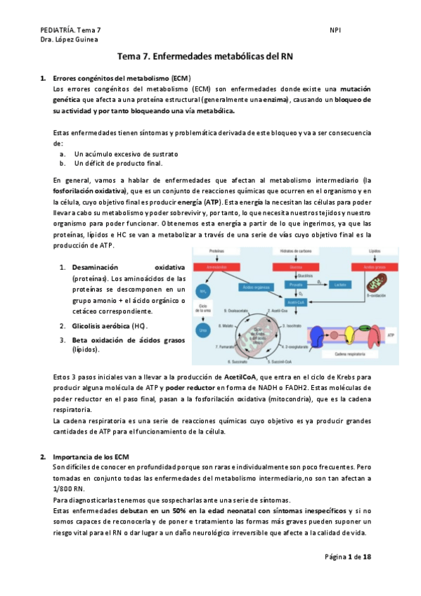 Miniatura del documento Pedia-Tema-7.-Defectos-metabolicos.pdf