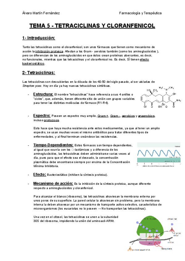 Miniatura del documento TEMA-5-TETRACICLINAS-Y-CLORANFENICOL.pdf