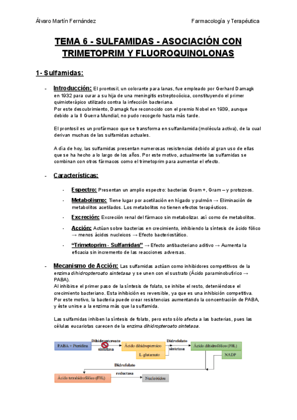 Miniatura del documento TEMA-6-SULFAMIDAS-ASOCIACION-CON-TRIMETOPRIM-Y-FLUOROQUINOLONAS.pdf