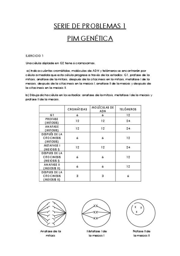 Miniatura del documento SERIE DE PROBLEMAS 1.pdf