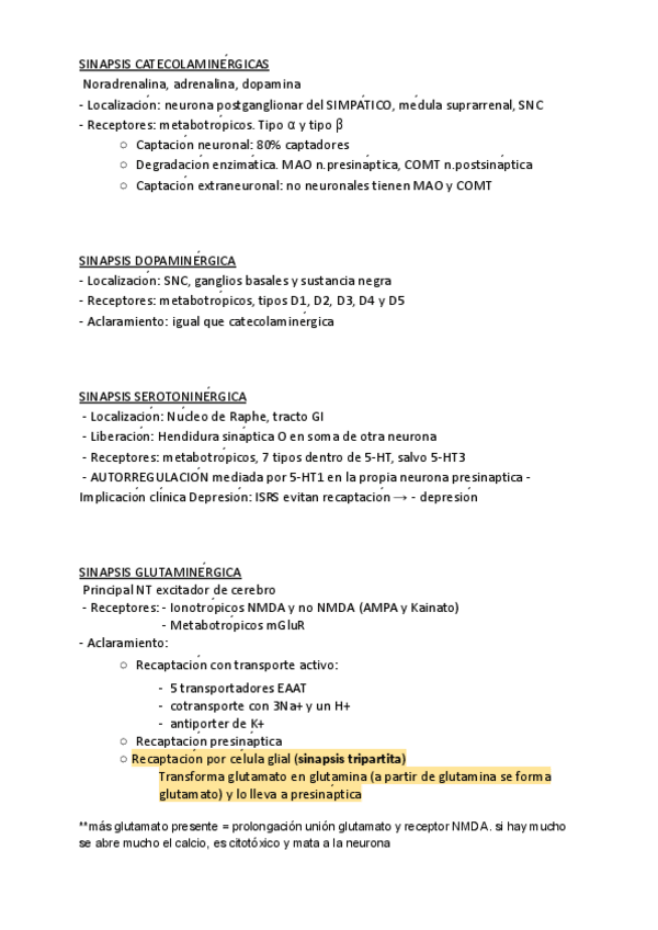 Miniatura del documento sinapsis-tipos-marisol-oct-2023.pdf