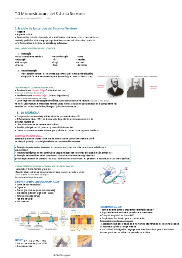 Miniatura del documento T.3-Microestructura-del-Sistema-Nervioso.pdf