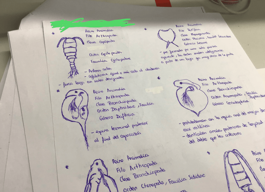 Miniatura del documento Macroinvertebrados.pdf