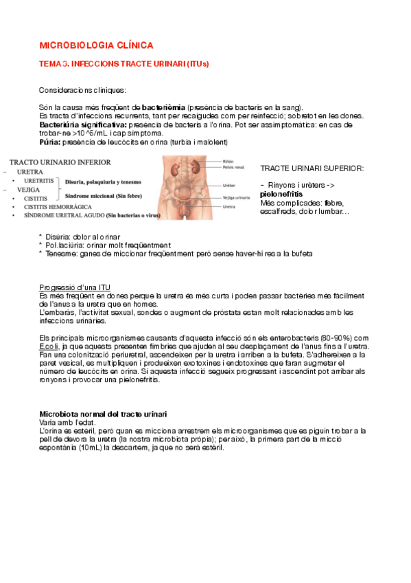 Miniatura del documento Tema-3-COMPLET-curs-2324.pdf