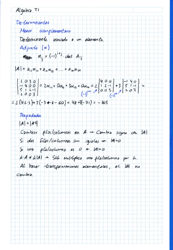 Miniatura del documento Algebra Tema 1 (escaneado).pdf