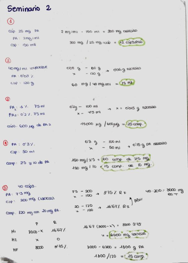 Miniatura del documento Seminario-elaboracion-FF-resuelto.pdf
