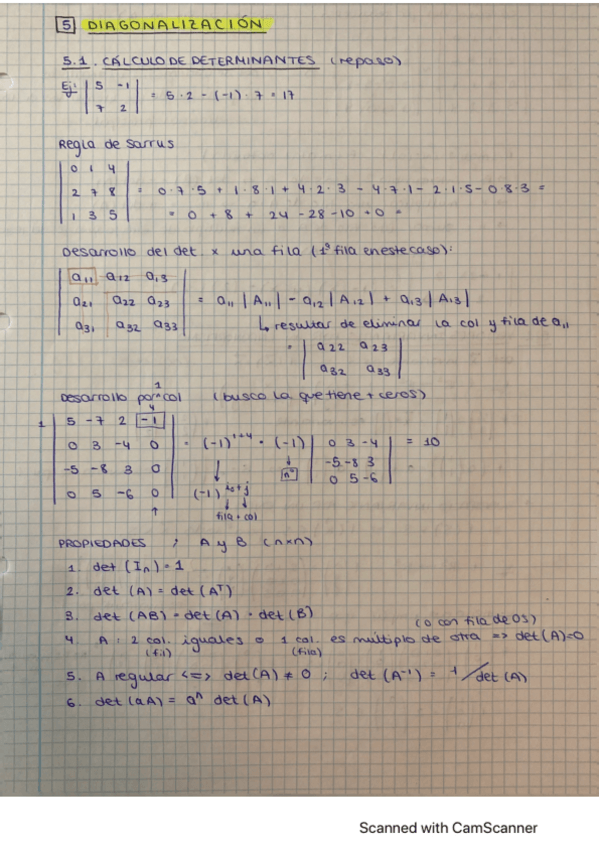 Miniatura del documento T5.Diagonizalizacioncon-ejs.pdf