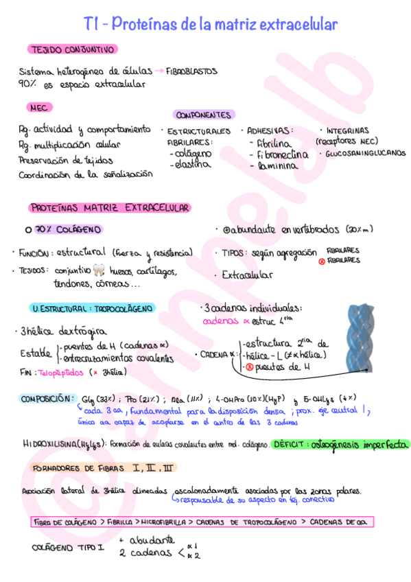 Miniatura del documento T1-Proteinas-de-la-matriz-extracelular.pdf