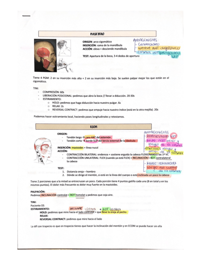 Miniatura del documento APUNTES-EXAMEN-PRACTICO-PGM--FIBROLISIS.pdf