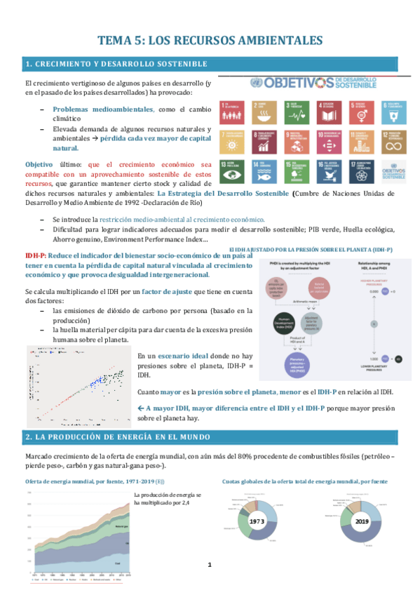 Miniatura del documento TEMA-5-RECURSOS-AMBIENTALES.pdf