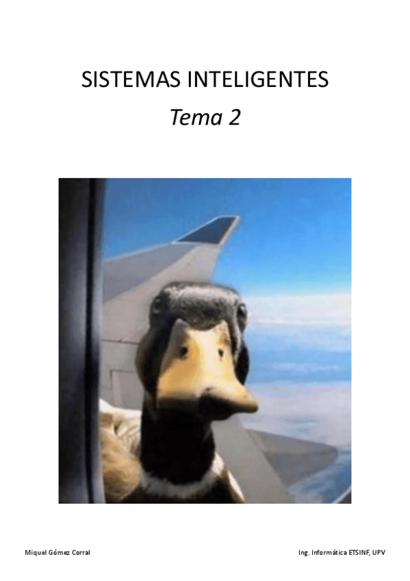 Miniatura del documento SIN-Tema-2.pdf