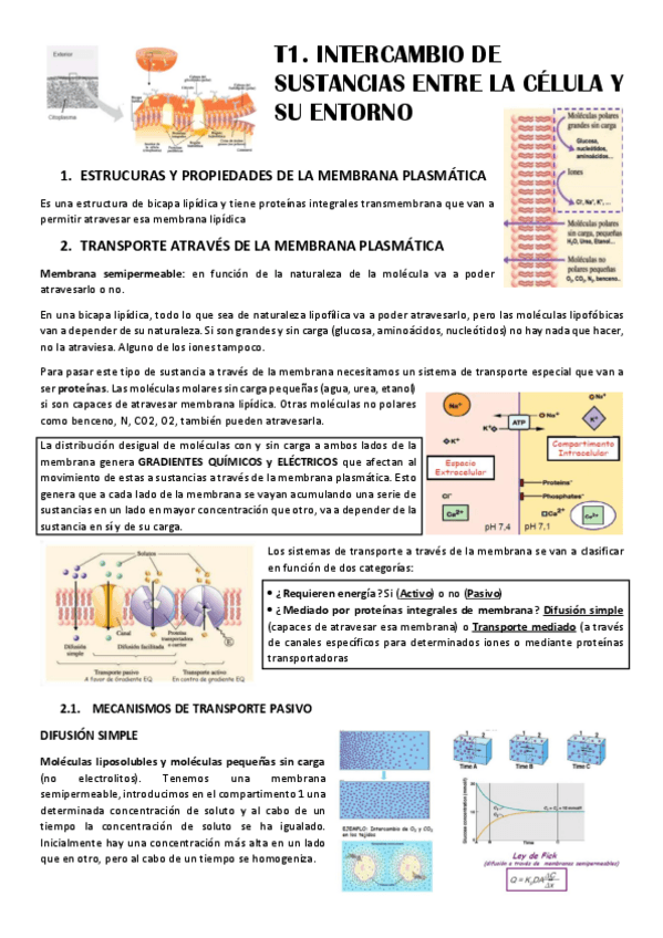 Miniatura del documento T1-INTERCAMBIO-SUSTANCIAS.pdf