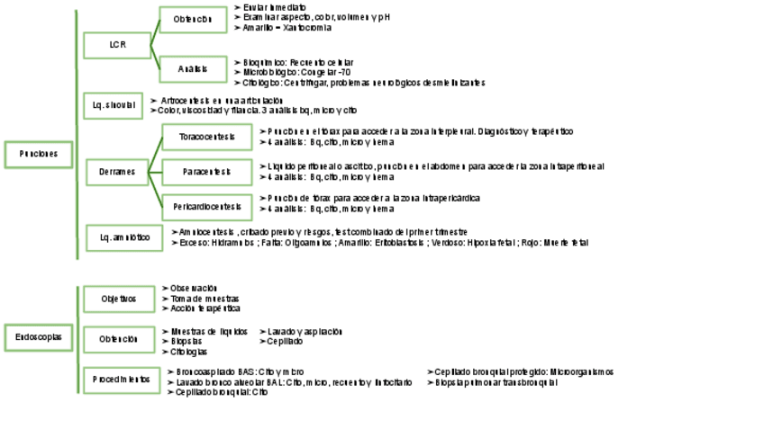 Miniatura del documento UT-9-ESQUEMA-PUNCIONES-Y-ENDOSCOPIAS.pdf