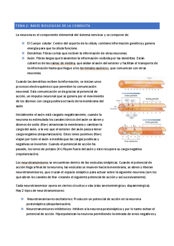 Miniatura del documento Introducción Tema-2-y-3.pdf