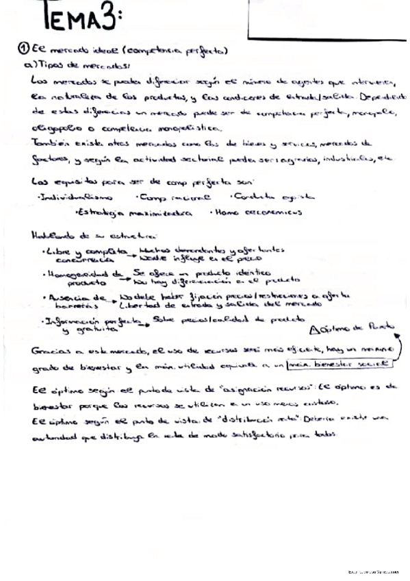 Miniatura del documento TEMA-3-ECONOMIA.pdf