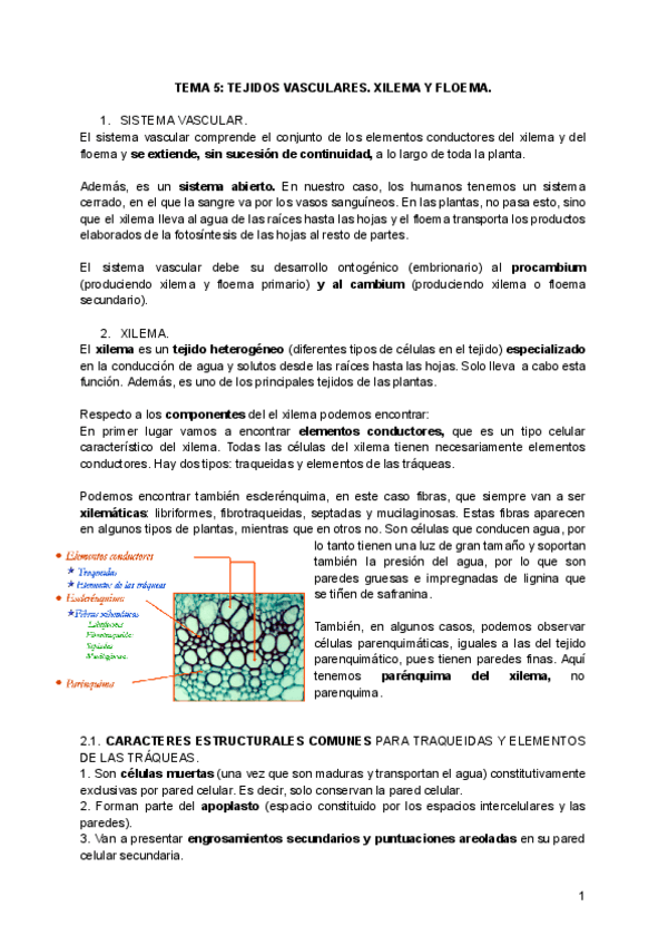 Miniatura del documento tema-5.pdf